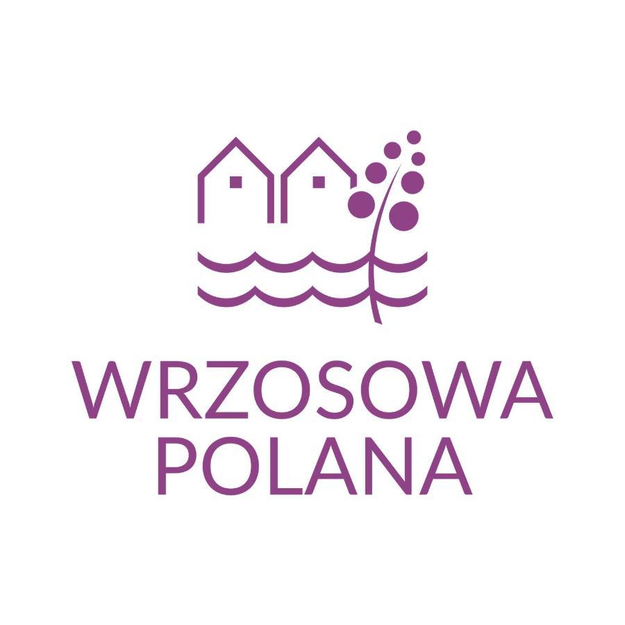 מיצ'יצ'ניו Wrzosowa Polana - Domki Letniskowe מראה חיצוני תמונה